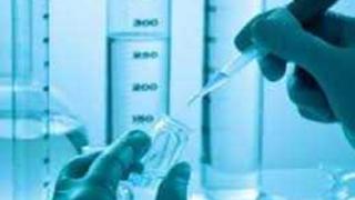 Một số kết quả nghiên cứu về thành phần hóa học của cây Dong riềng đỏ