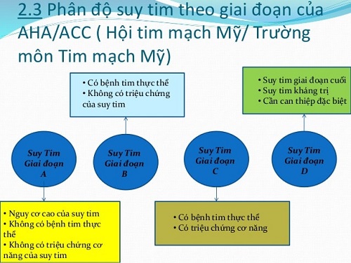 Phân giai đoạn suy tim theo Hội tim mạch Hoa Kỳ và Trưởng môn tim mạch Hoa Kỳ 